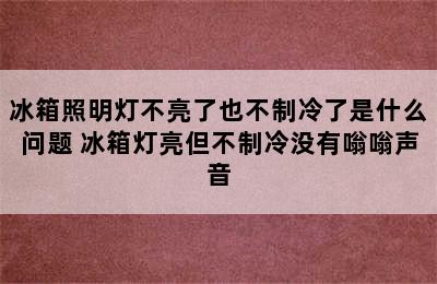 冰箱照明灯不亮了也不制冷了是什么问题 冰箱灯亮但不制冷没有嗡嗡声音